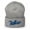 Picture of TheGlue Cuffed Beanie