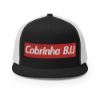 Picture of Trucker Cap