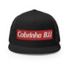 Picture of Trucker Cap