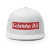 Picture of Trucker Cap