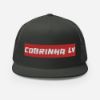 Picture of Trucker Cap - Supreme Athletes