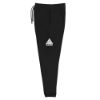 Picture of SAUCE Unisex Joggers