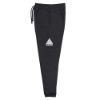 Picture of SAUCE Unisex Joggers