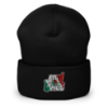 Picture of Kid Kvenbo - Aqui Tamos - Cuffed Beanie
