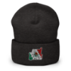 Picture of Kid Kvenbo - Aqui Tamos - Cuffed Beanie